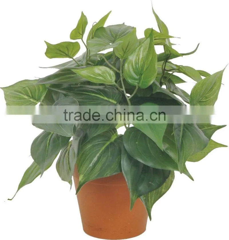 artificial green bonsai Heart fat yellow iron WB19-13J-YL2# ( plant bonsai flower tree of Este )