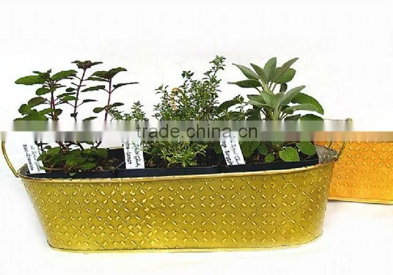Copper Patina Trio Planter kit, Mini Garden Kit, Indoor grow Kit