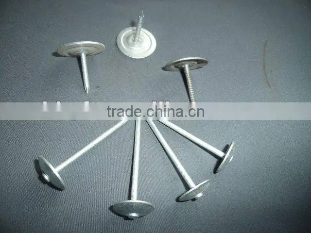 umbrella roofing nails to south America china supplier on sale