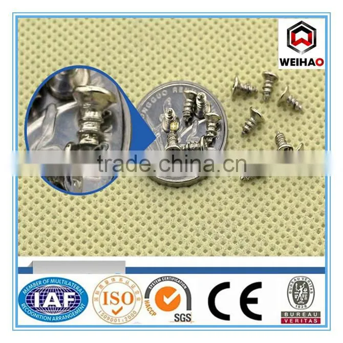 hot selling high qualiy stainless steel wood screw