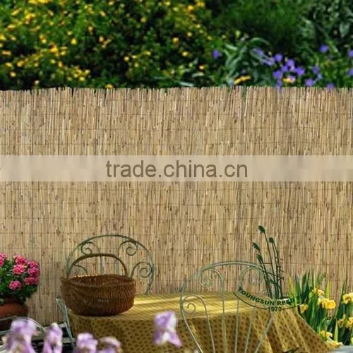 reed natural yellow fencing