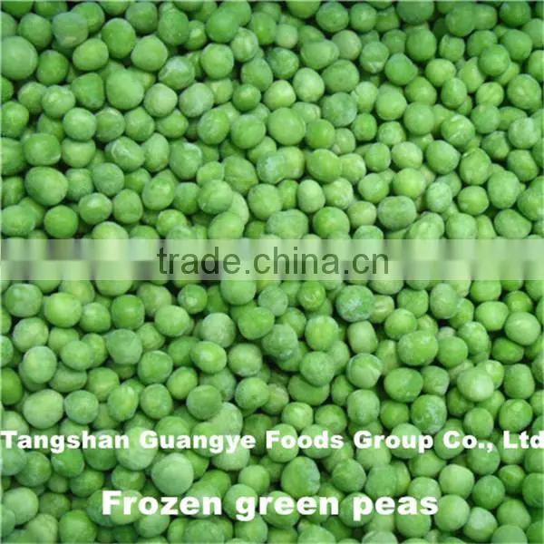 iqf frozen vegetable fresh broccoli