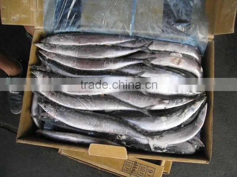 frozen saury