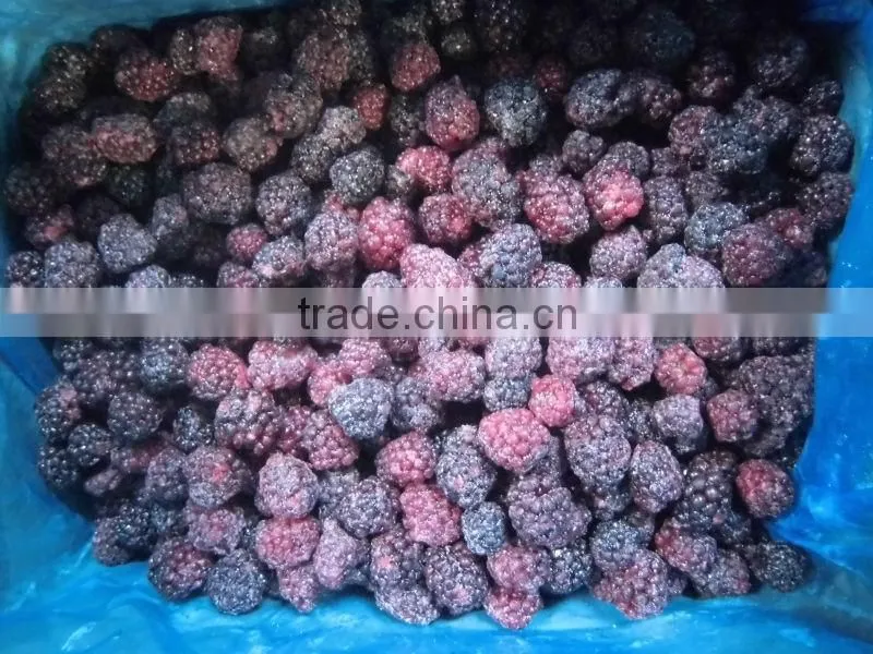 Chinese IQF frozen fresh blackberry fruit bulk