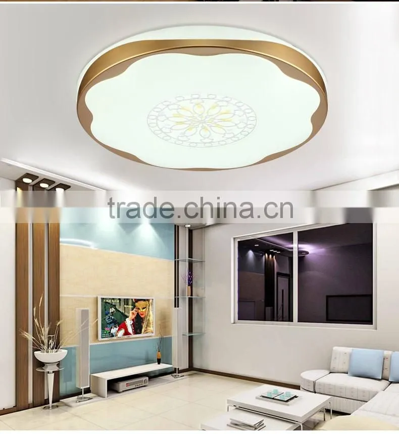 2016 New design modern ceiling light led ceiling light round with art design