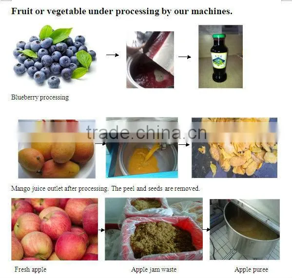 hot sales Apple juice production line(automatic)