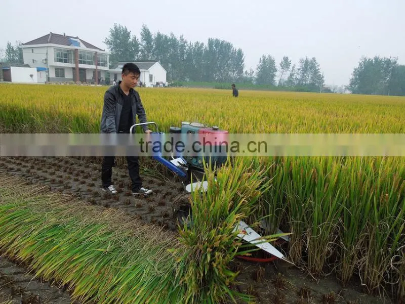 4GL150 self-walking type paddy rice reaping machine