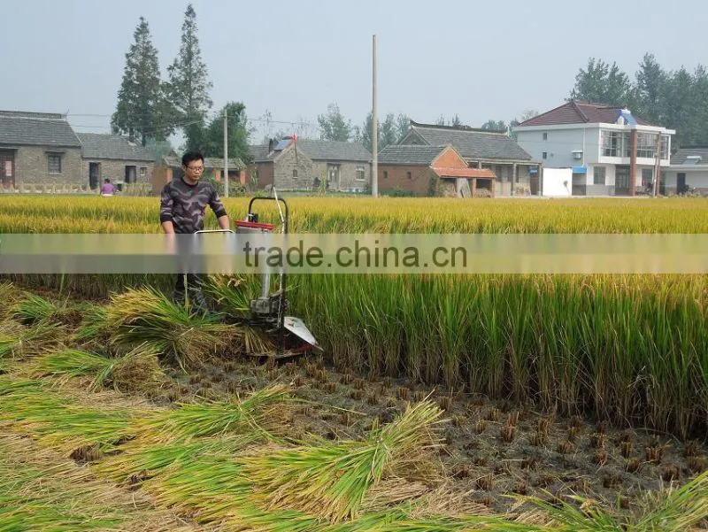 4GK100 small wheat swather with binder on promotion