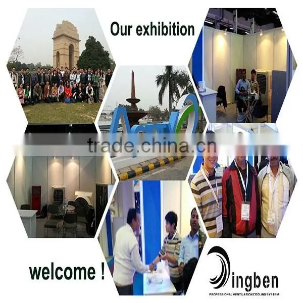 China supplier DINGBEN Good quality Industrial decorative ceiling fan blades