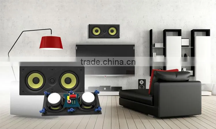 Frameless home theatre speaker