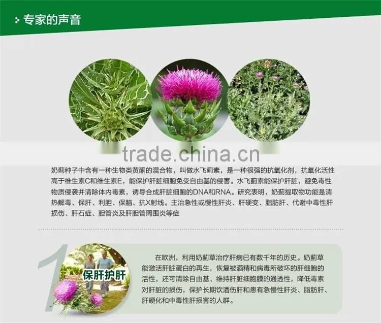 Water Soluble Organic 30%-98% Silymarin