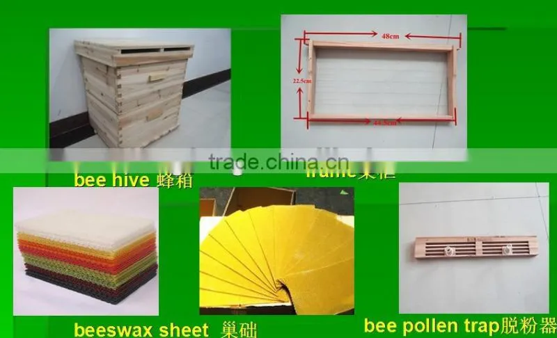 China beekeeping manufacturer supply organic honey with best quality
