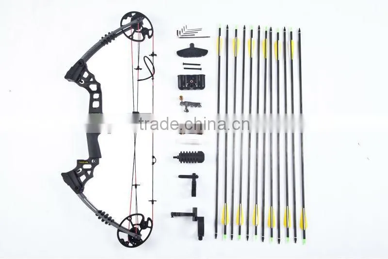 Fashion Aluminum M120 Compound Bow For Hunting Have New Design