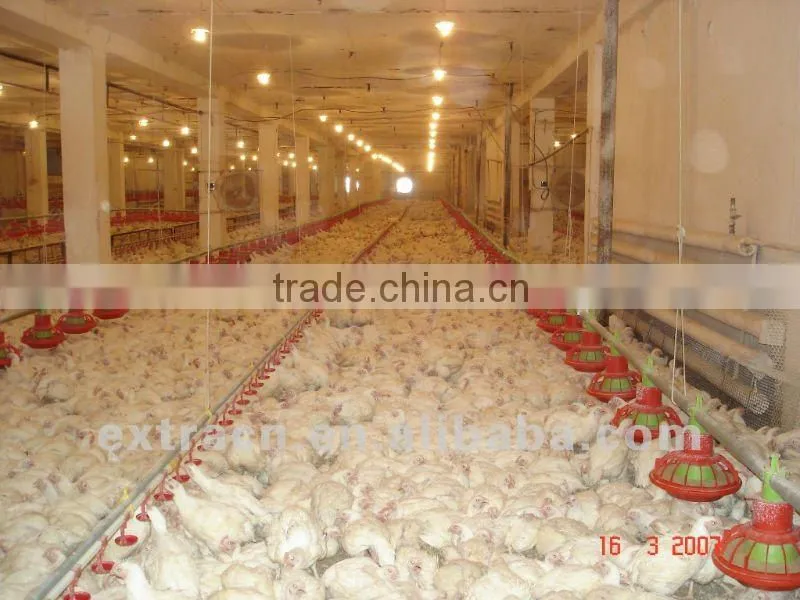 poultry feeding system