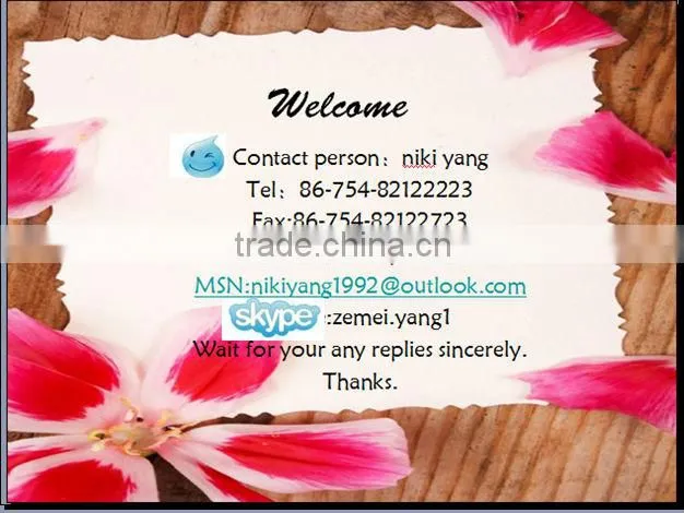 High quality and custom printed custom made tea bag/tender leaf tea bags/tea in silk tea bags