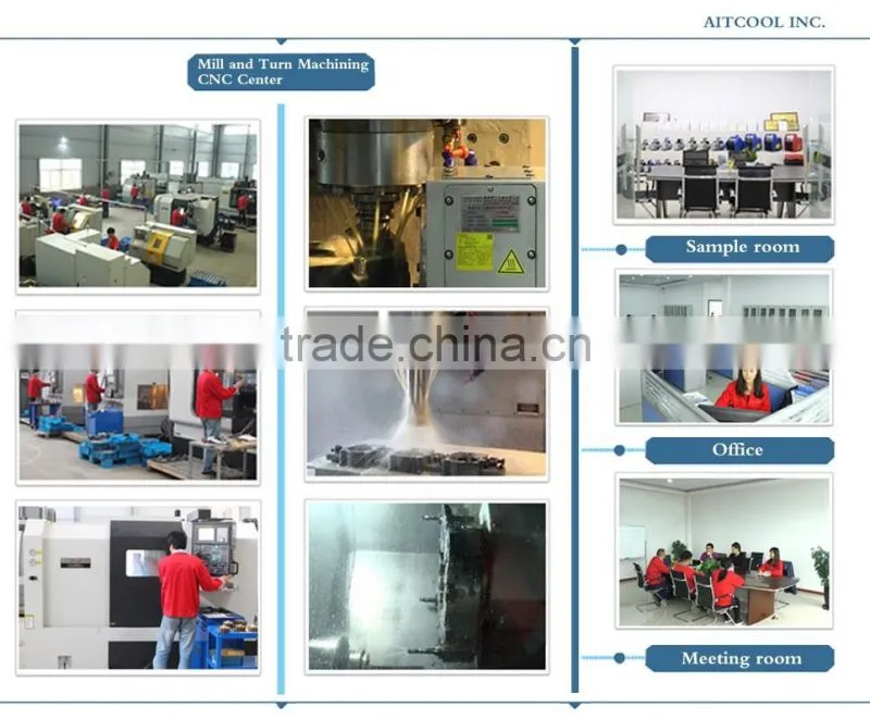 High quality Electronic Refrigerant Charing Scale CS-100