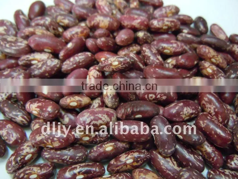 Common cultivation style red speckled kidney beans