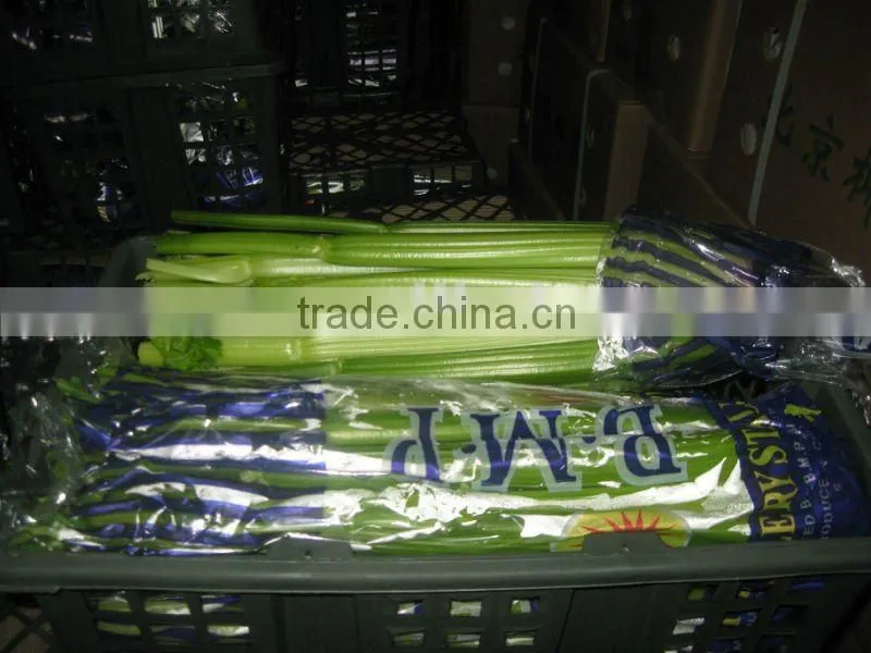 Fresh celery net weight 9kg