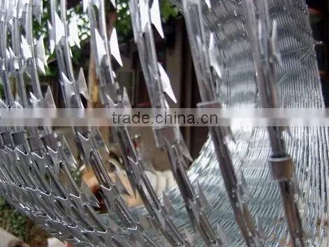 wholesale CBT-65 hot-dipped galvanized razor barbed wire