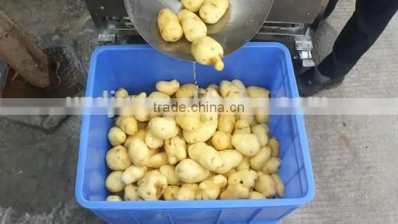 Food Processing Machine Automatic Potato Peeler 0086-15202132239