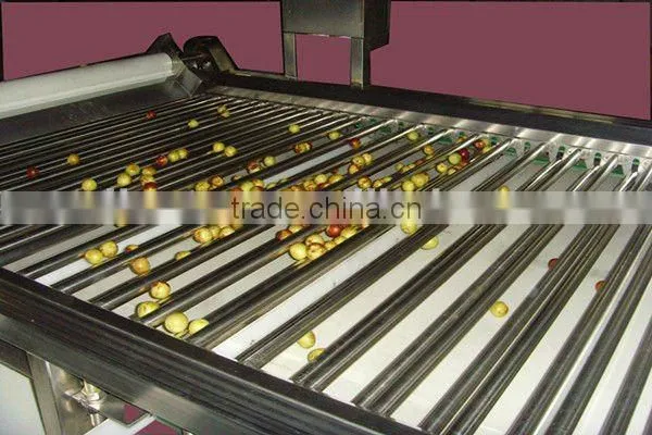 jujube production line/date processing line for high capacity