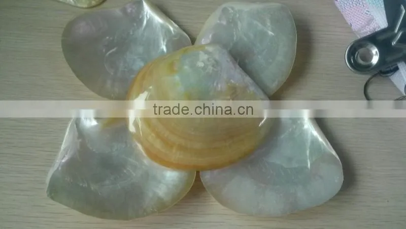 Best quality mother of pearl raw shell inlay