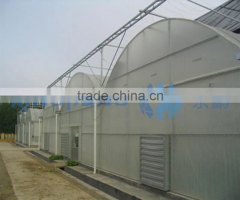 Plastic Film Greenhouse for Agriculture