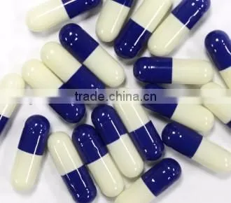 Automatic capsule filling machine NJP3500A/C