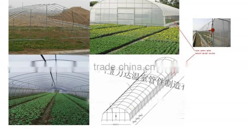 cheap tunnel greenhouse