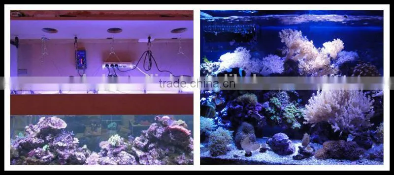 165 watt cree led aquarium lighting for coral reef live intellectual control