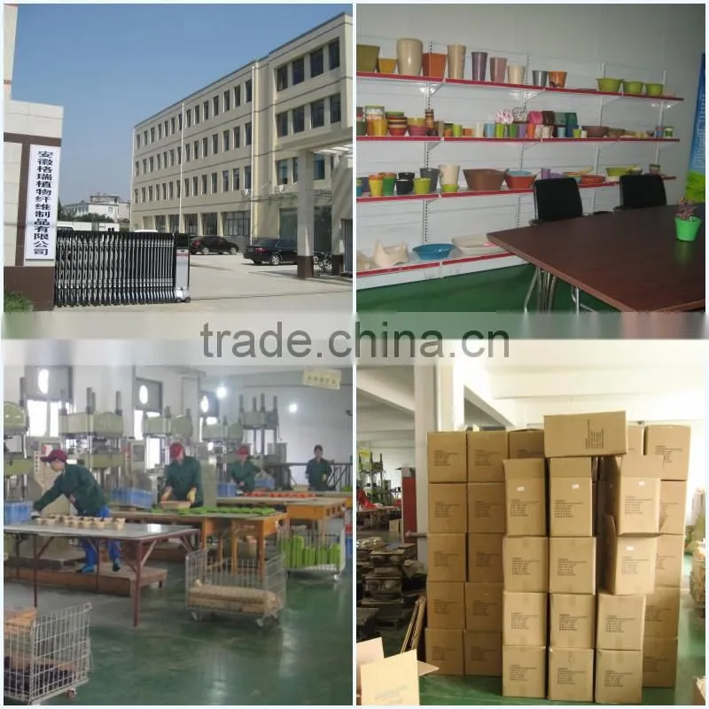 Factory direct Lovely children water cup ,tableware,alibaba kids divided plate