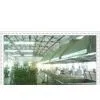 FuQiang Dehydrated Vegetables Co.,Ltd company overview - view 1