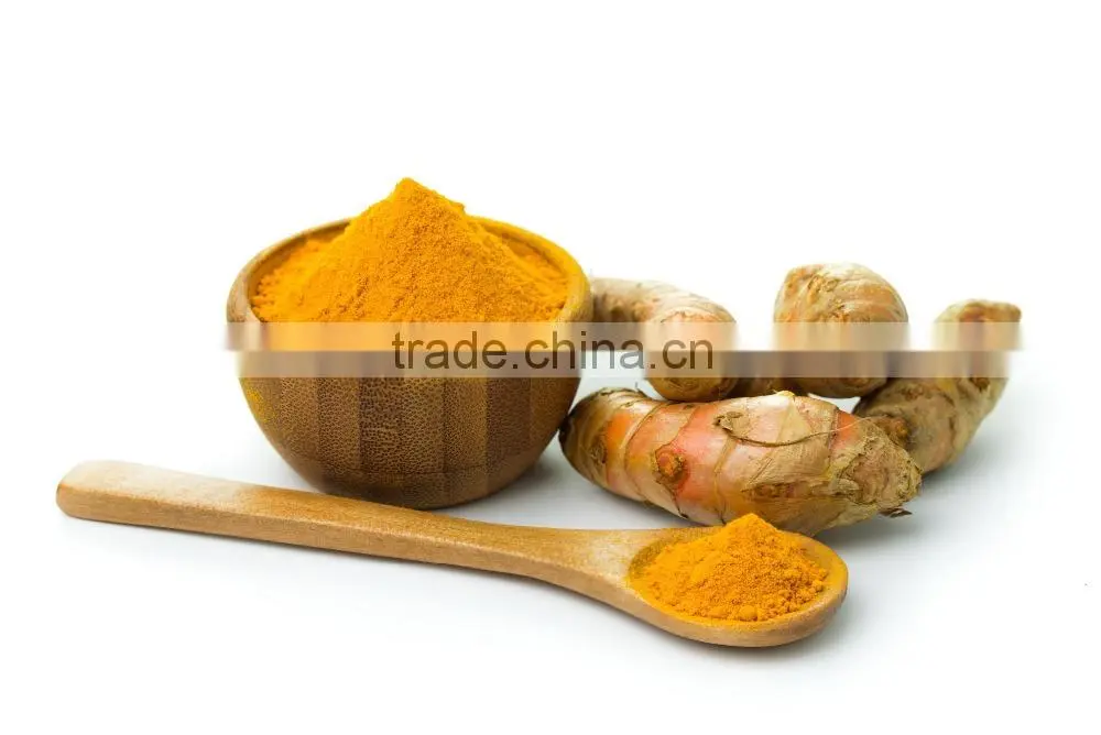 Best price Fresh Turmeric Root from Vietnam