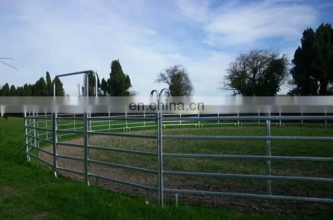 Steel Mesh Panel For Chicken