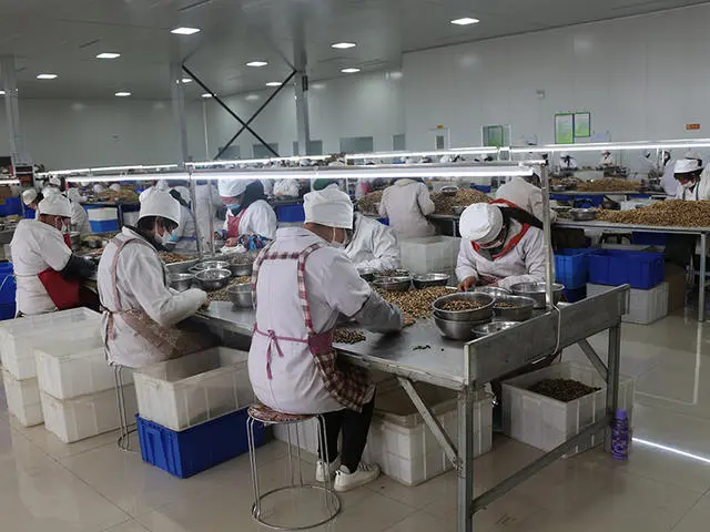 Hebei Suguo International Trade Co., Ltd. company overview - view 2