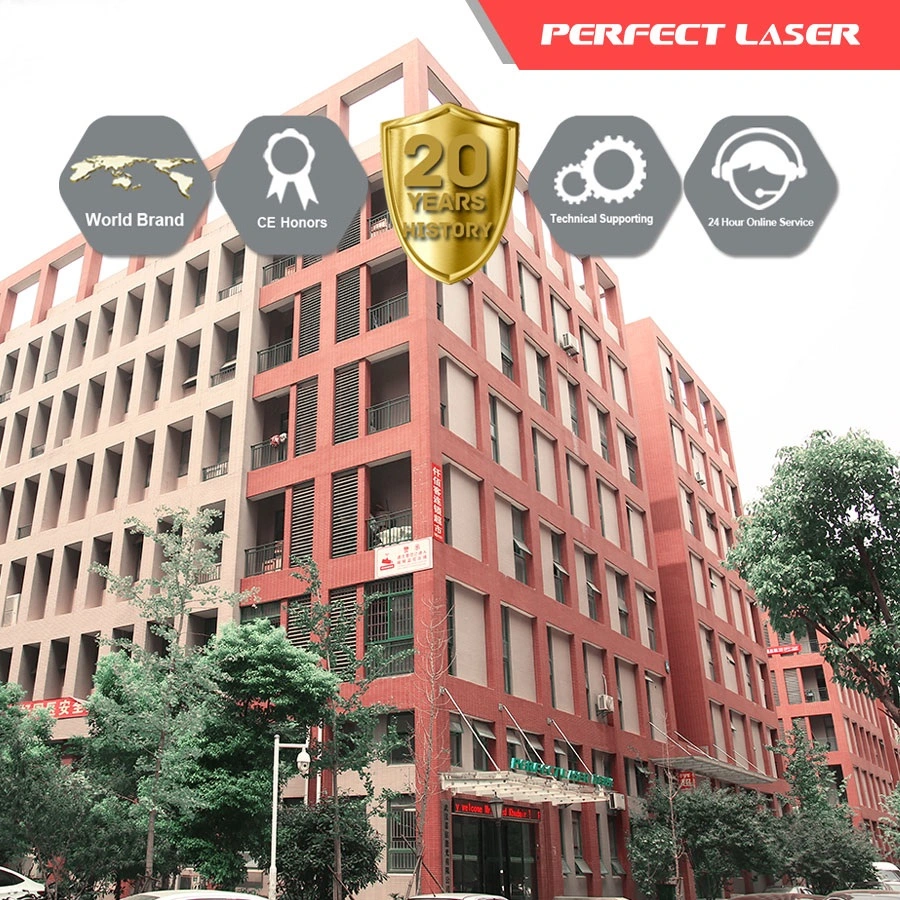 Perfect Laser (Wuhan) Co., Ltd. company overview - view 1