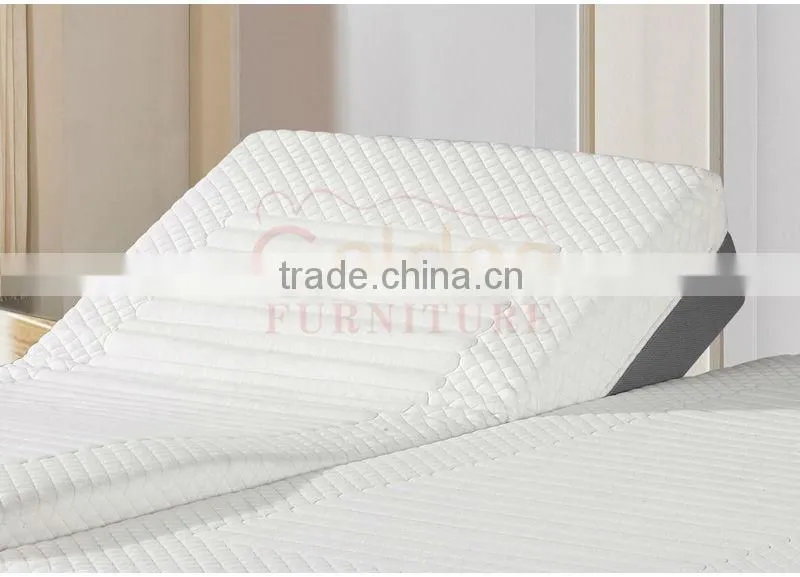 Golden Furniture twins ceragem jade massage bed AM09