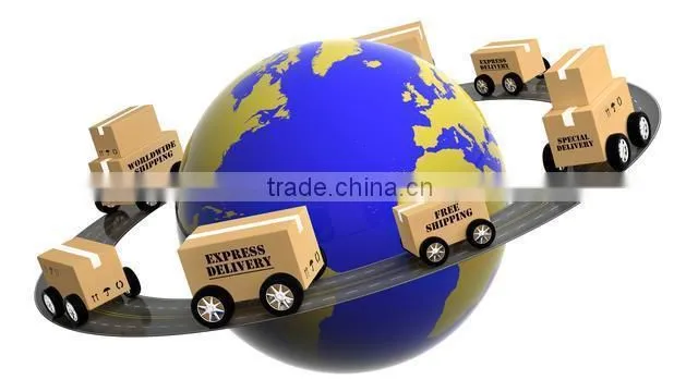 Quality new arrival international freight forwarder the usa