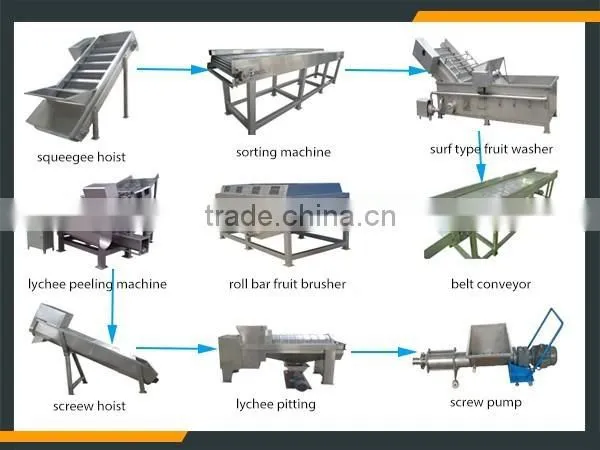 Leader large capacity and high peeling rate litchi skin separater machine