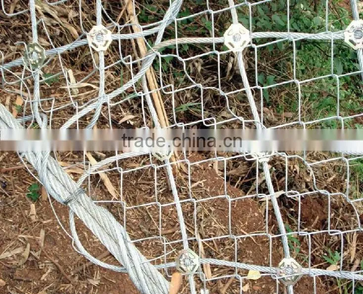 Stone/Rock Fall Protection Metal Wire Mesh(BV certification)
