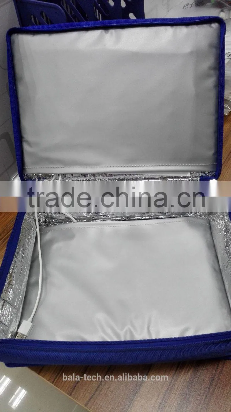12v electric battery lunch box/bag