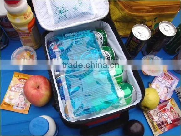 38L Plastic Instulate Ice Gel Cooler / Ice Gel Can PVC Cooler