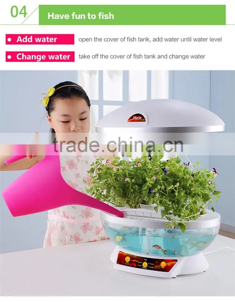 grow expand water toys