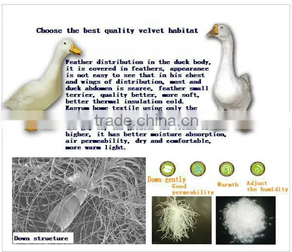 2015 New Style White Goose Down Comforter