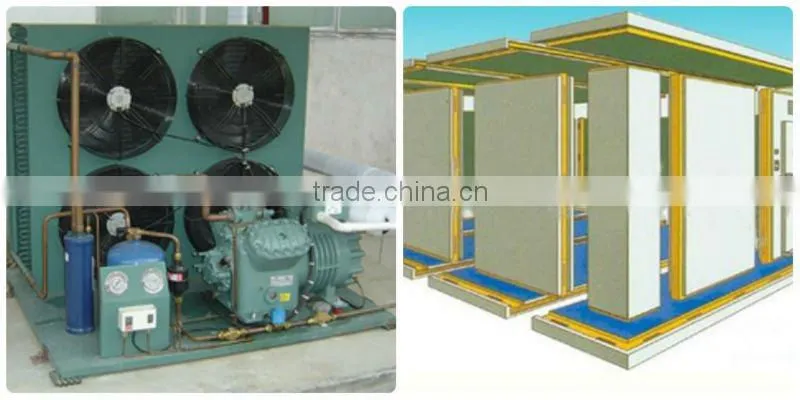 commercial cold room price for storing
