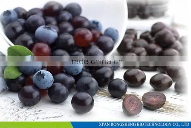 Hot Sale Freeze Dried Powder Organic Acai Berry