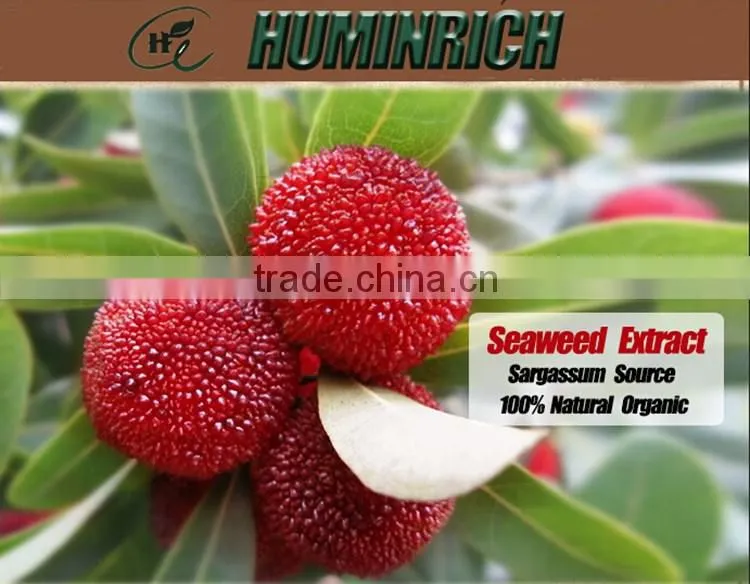 FAQ 27--Effect Of Seaweed Fertilizer On Red Bayberry
