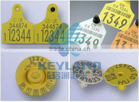 Mini Cnc Engraving Stainless Steel Sliver Plastic Glass 10W 20W 30W IPG / Raycus Fiber Laser Marking Machine Price