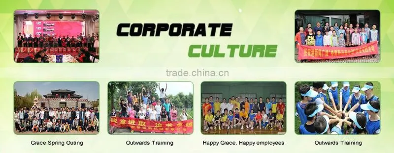 Grace advanced professional Plastic Extruding Equipment for PVC Pipe Extrusion Machinery