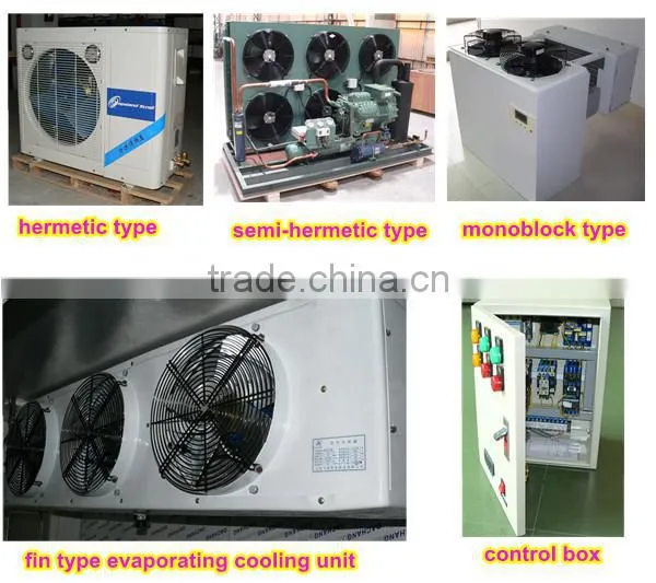 PU Insulation Freezer Meat Storage Room